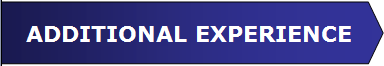 Additional Experience